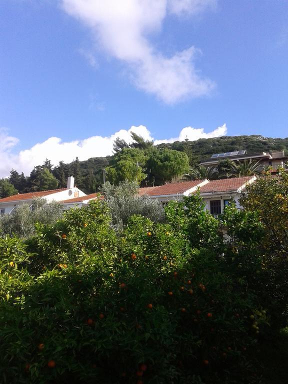 Aggelos Kefalonia Lassi Lassi (Kefalonia) Exterior foto